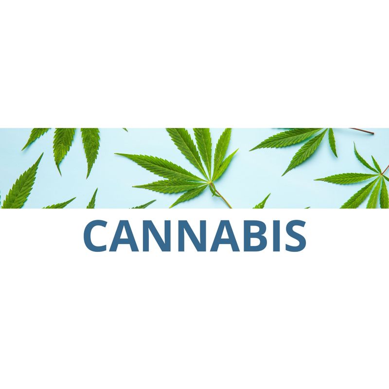 Cannabis