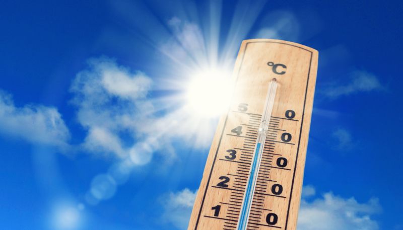 Retrouvez l’ensemble des documents Canicule