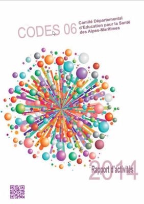 Image rapport activités 2014