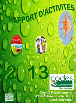 Image rapport activités 2013