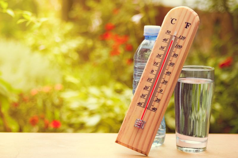  Météo-France annonce une vague de chaleur à partir de mercredi 15 juin 2022 !