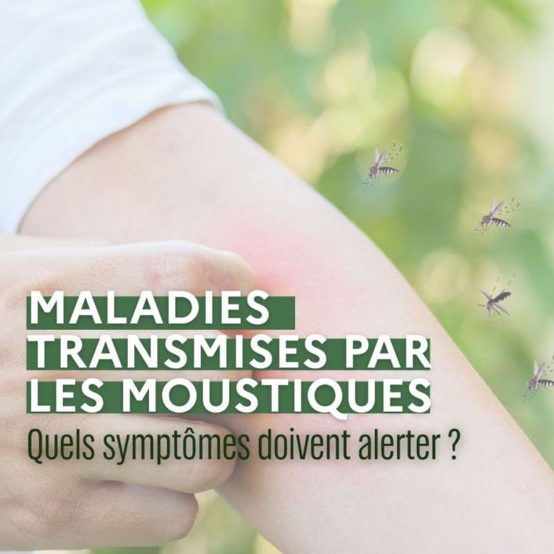 Maladies transmises par les moustiques : Quels symptômes doivent vous alerter ?