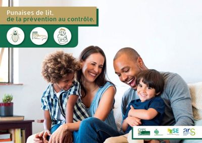 Image webinaire punaise de lit