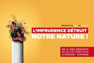 Image lutte contre les feux de forêts
