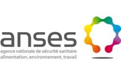 image anses