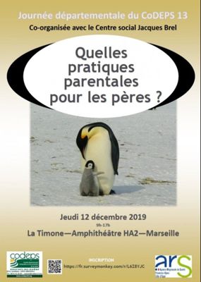 affiche colloque CODEPS 13