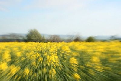 Image journée d'études des hôpitaux de jour