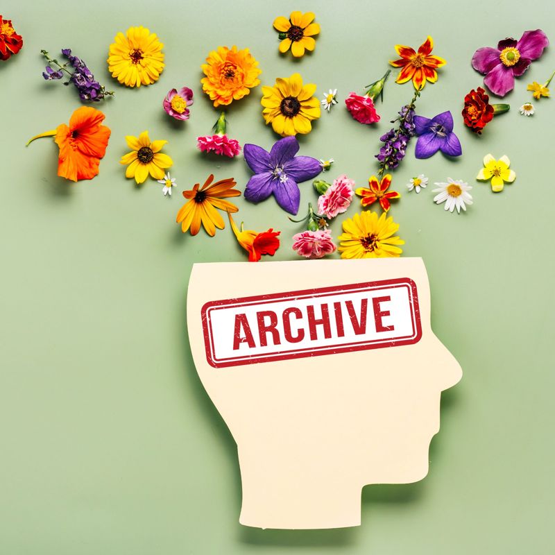 Archives lettres électroniques du PTSM 06