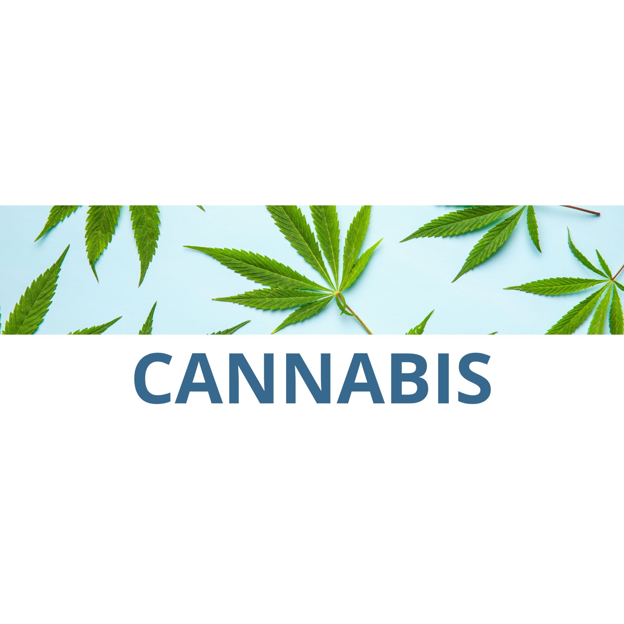 Cannabis