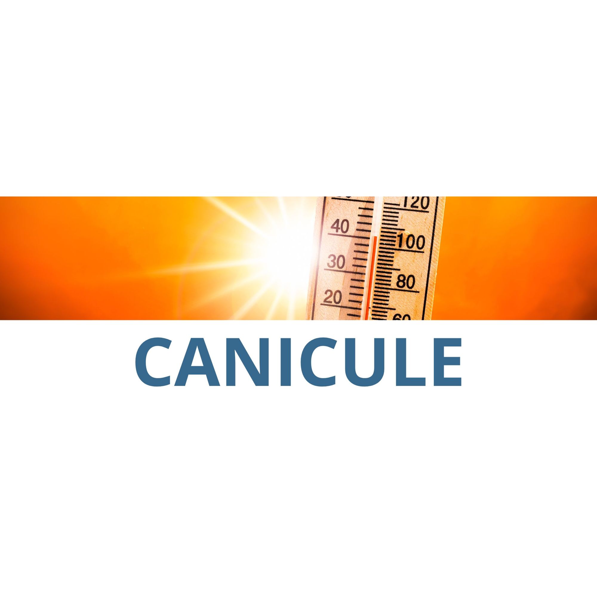 Canicule