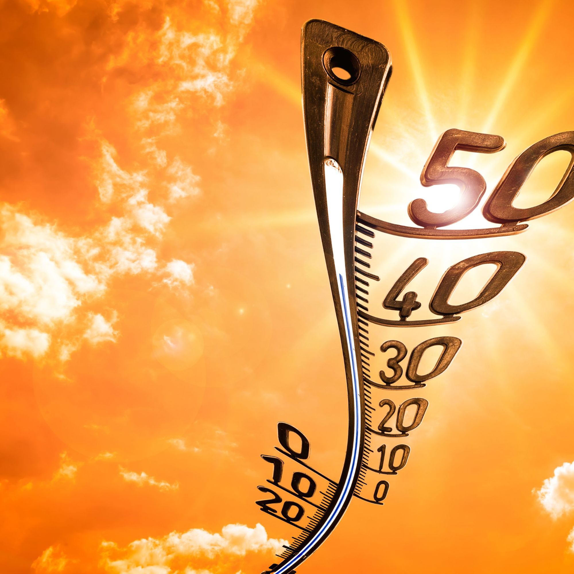 Bilan canicule et santé 
