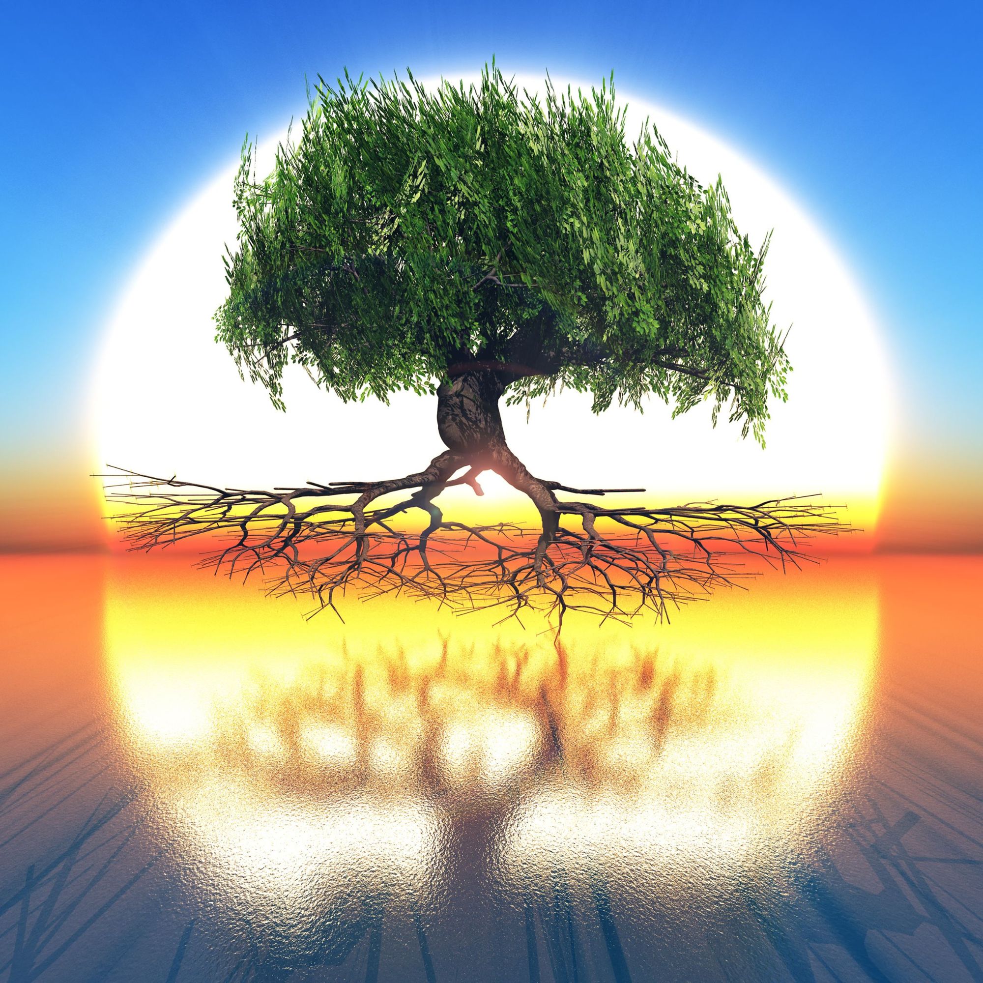 Les racines de la stigmatisation 