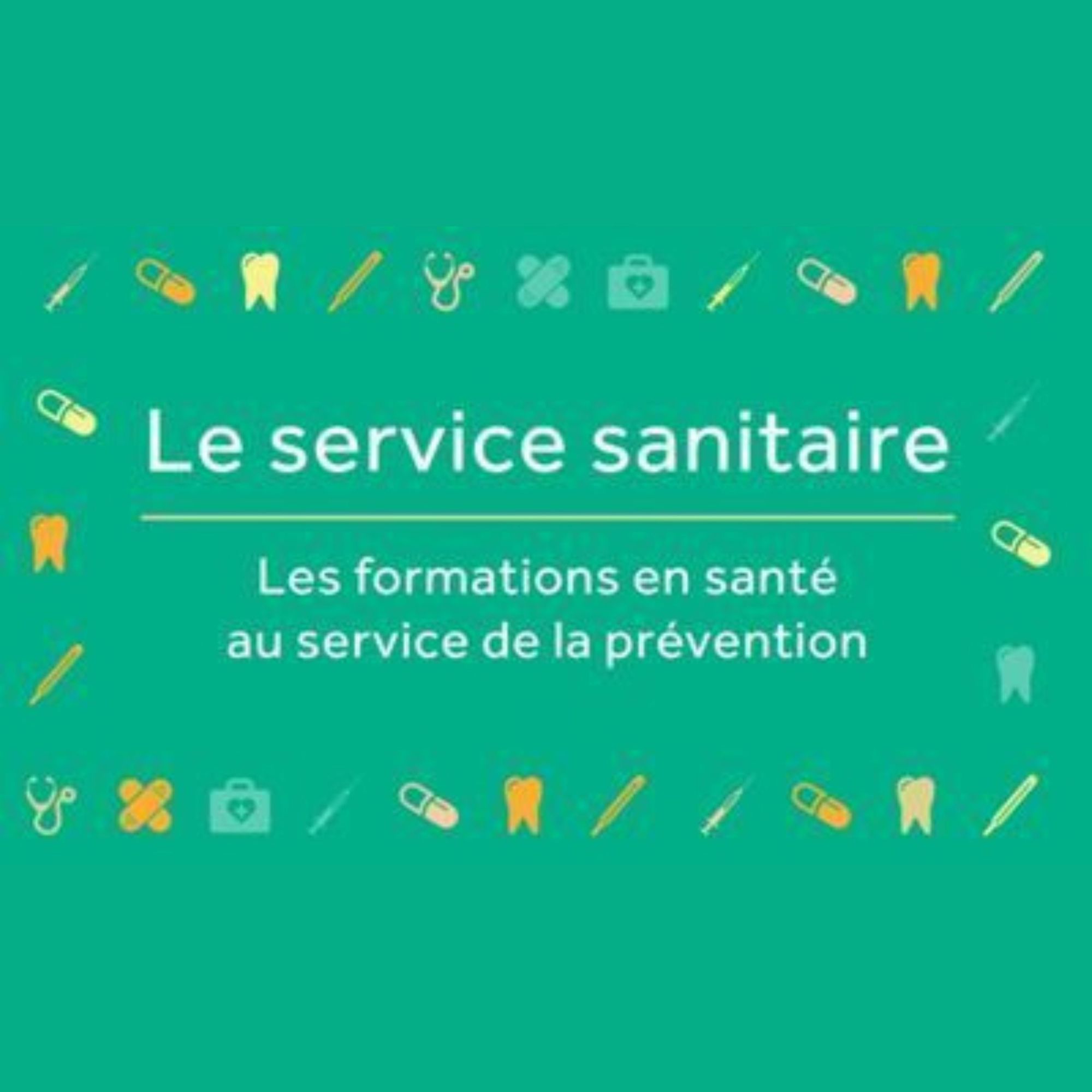 Journée régionale sur le service sanitaire 