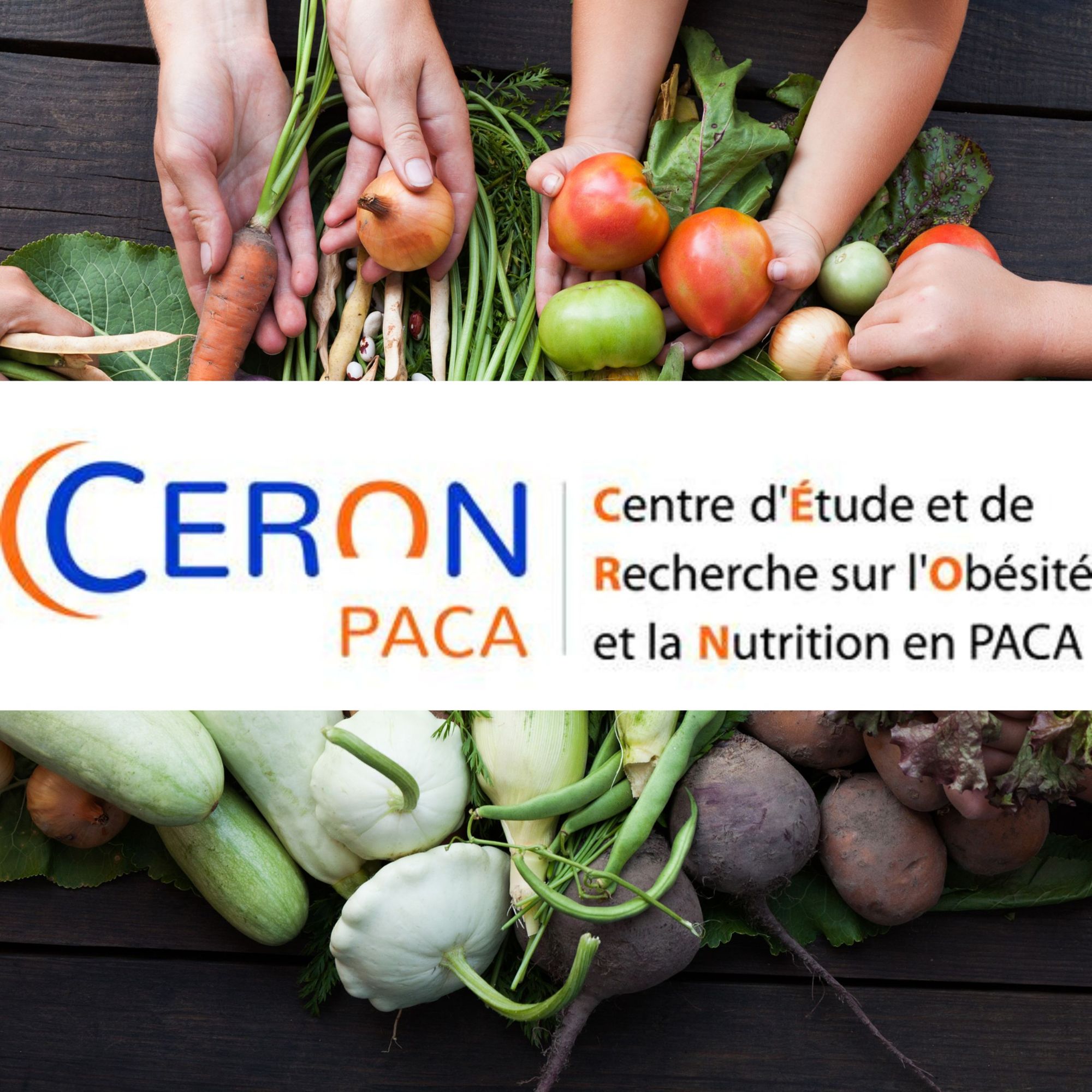 Conférence Inégalités d'accès économique à une alimentation saine et durable
