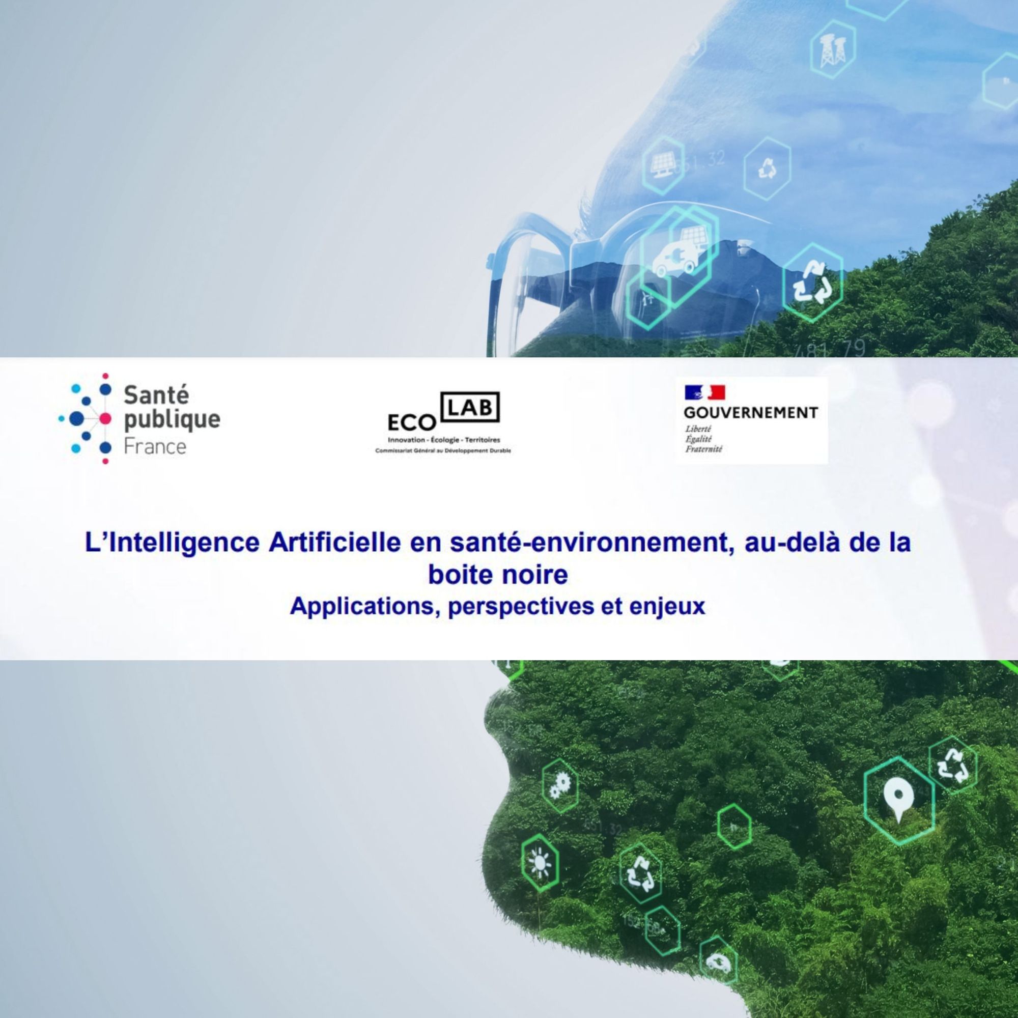 Séminaire L’intelligence artificielle en santé environnement.