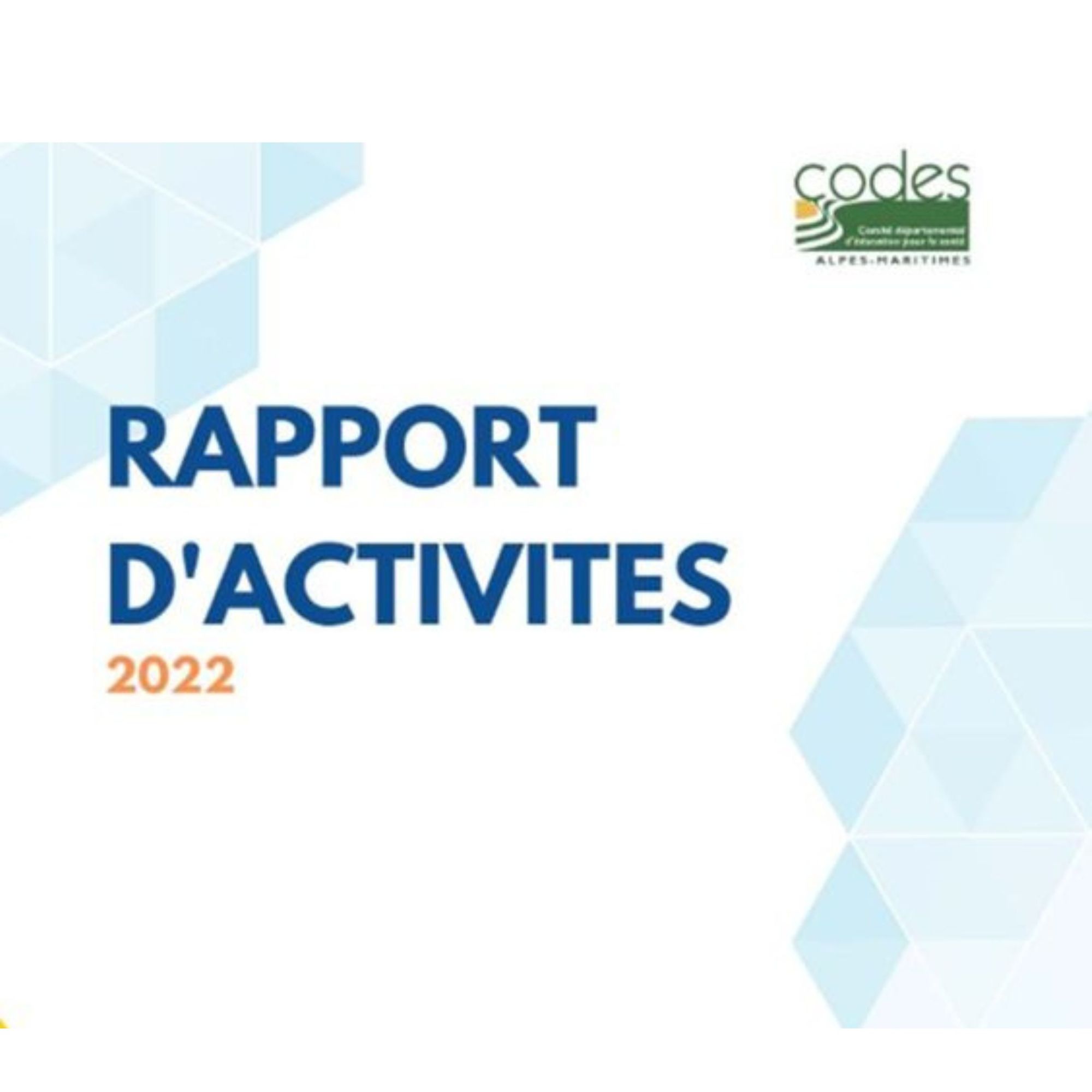 Rapport d'activités 2022