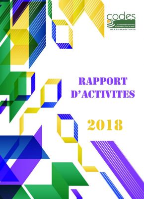 Image rapport d'activités 2018