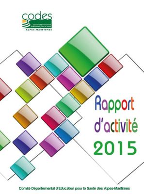 Image rapport activités 2015