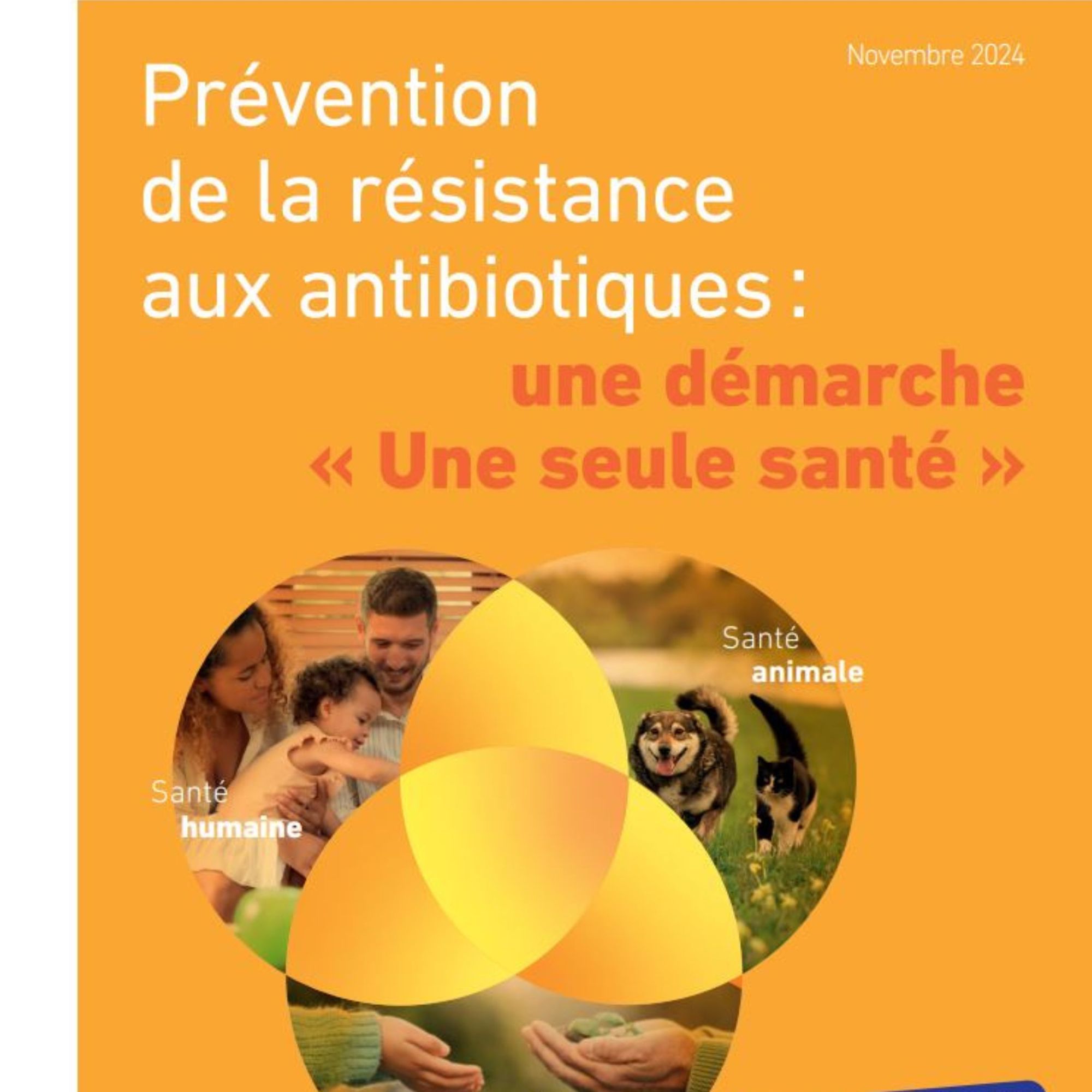 Prévention de la résistance aux antibiotiques