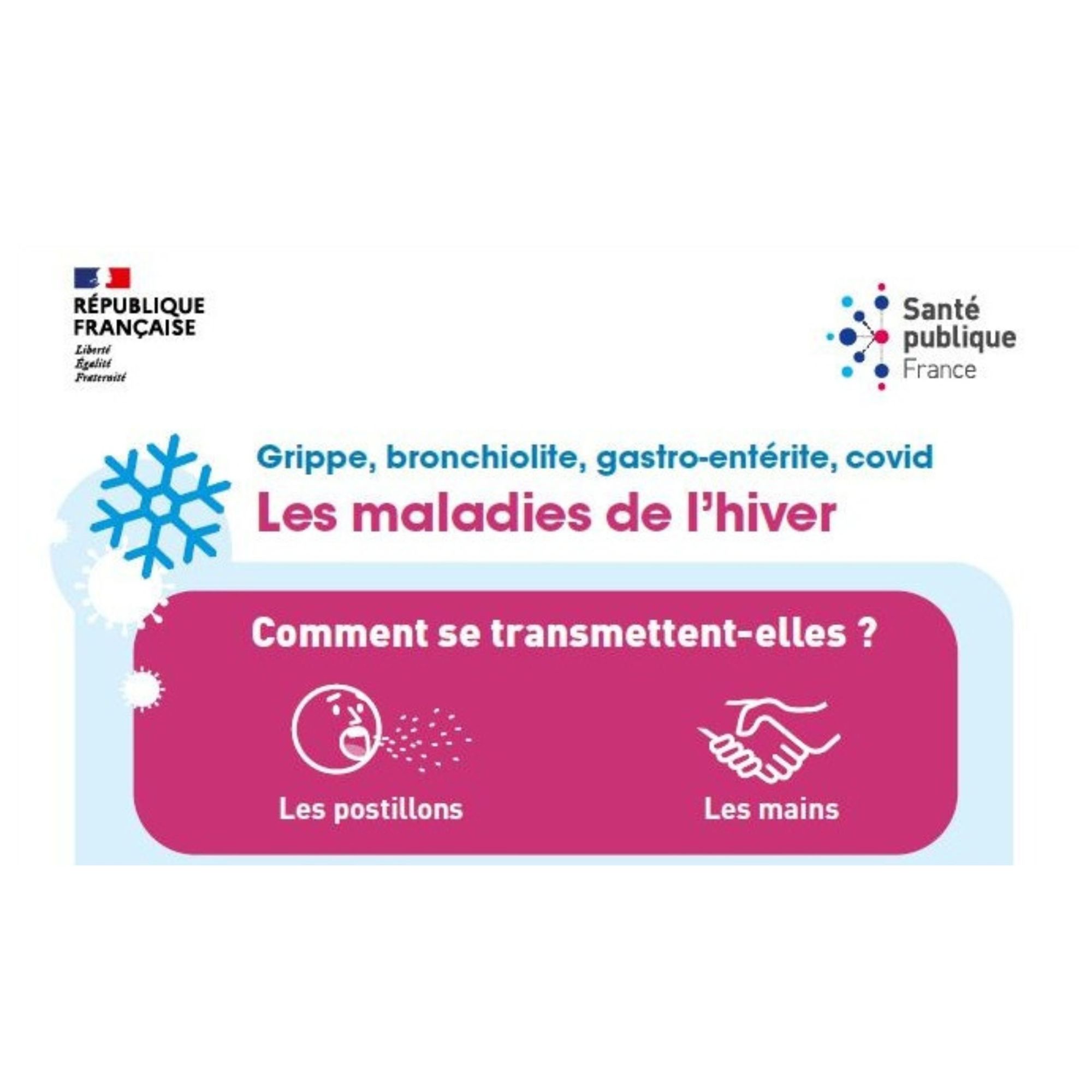 Grippe, bronchiolite, gastro-entérite, covid : les maladies de l'hiver