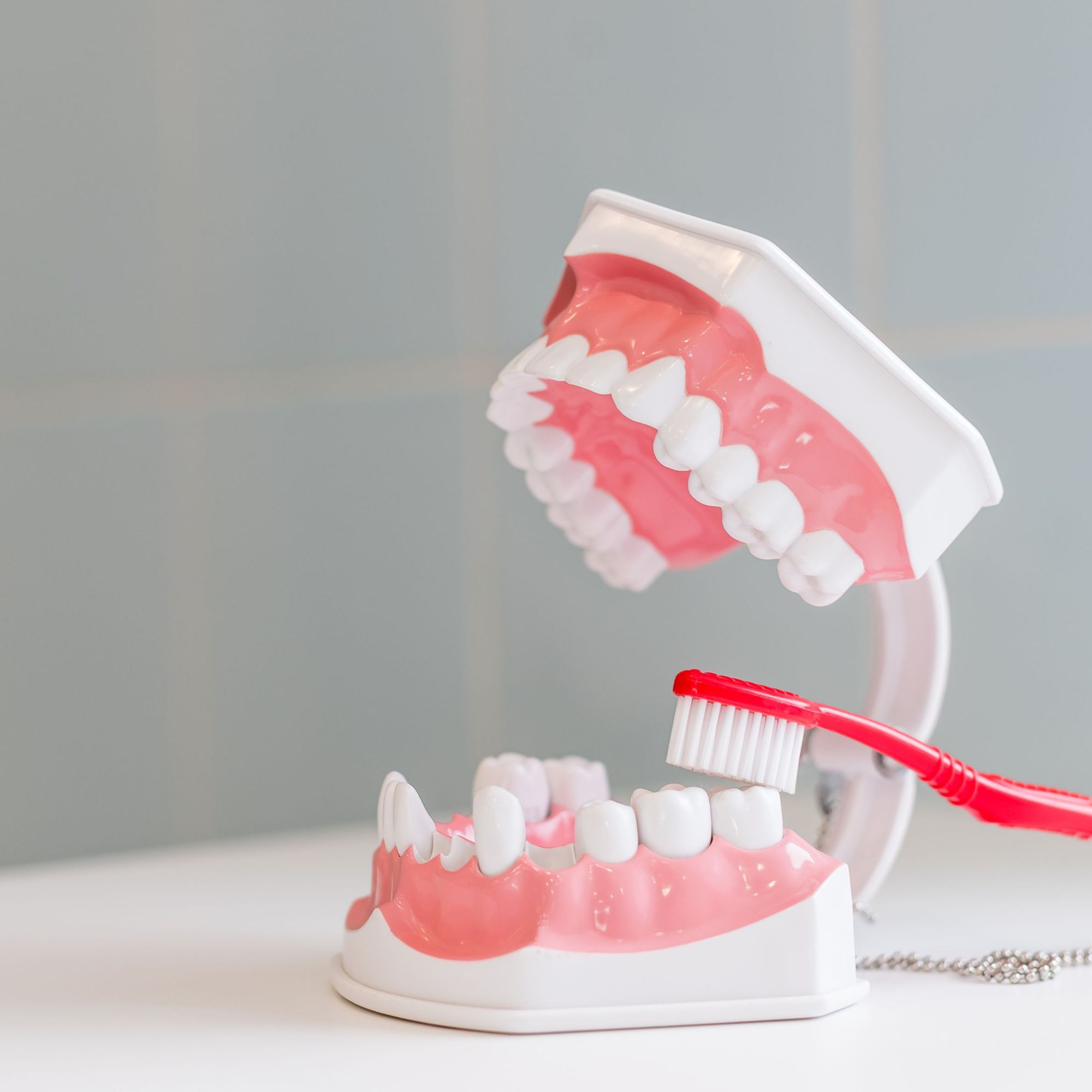 Education à la santé bucco-dentaire