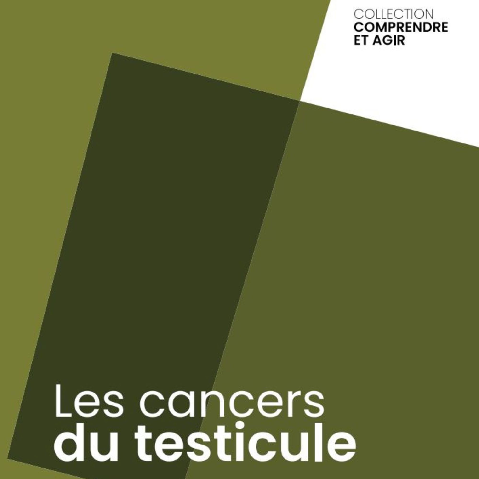 Les cancers du testicule