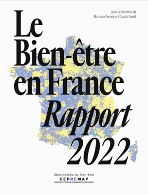 Le bien-être en France. Rapport 2022