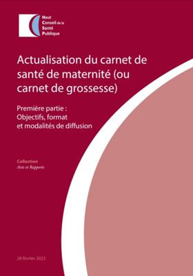 Actualisation du carnet de santé de maternité. 