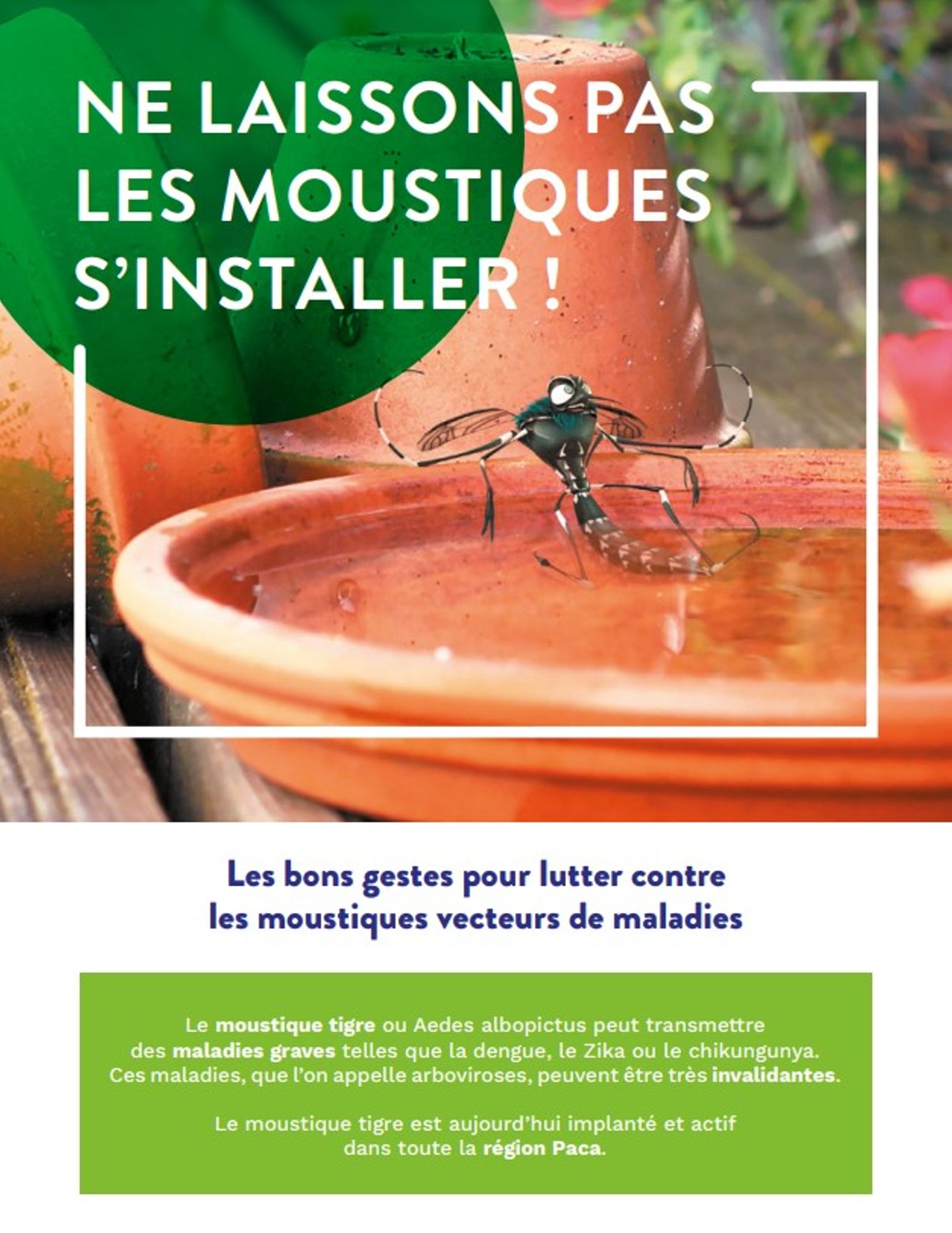 Ne laissons pas les moustiques s'installer !