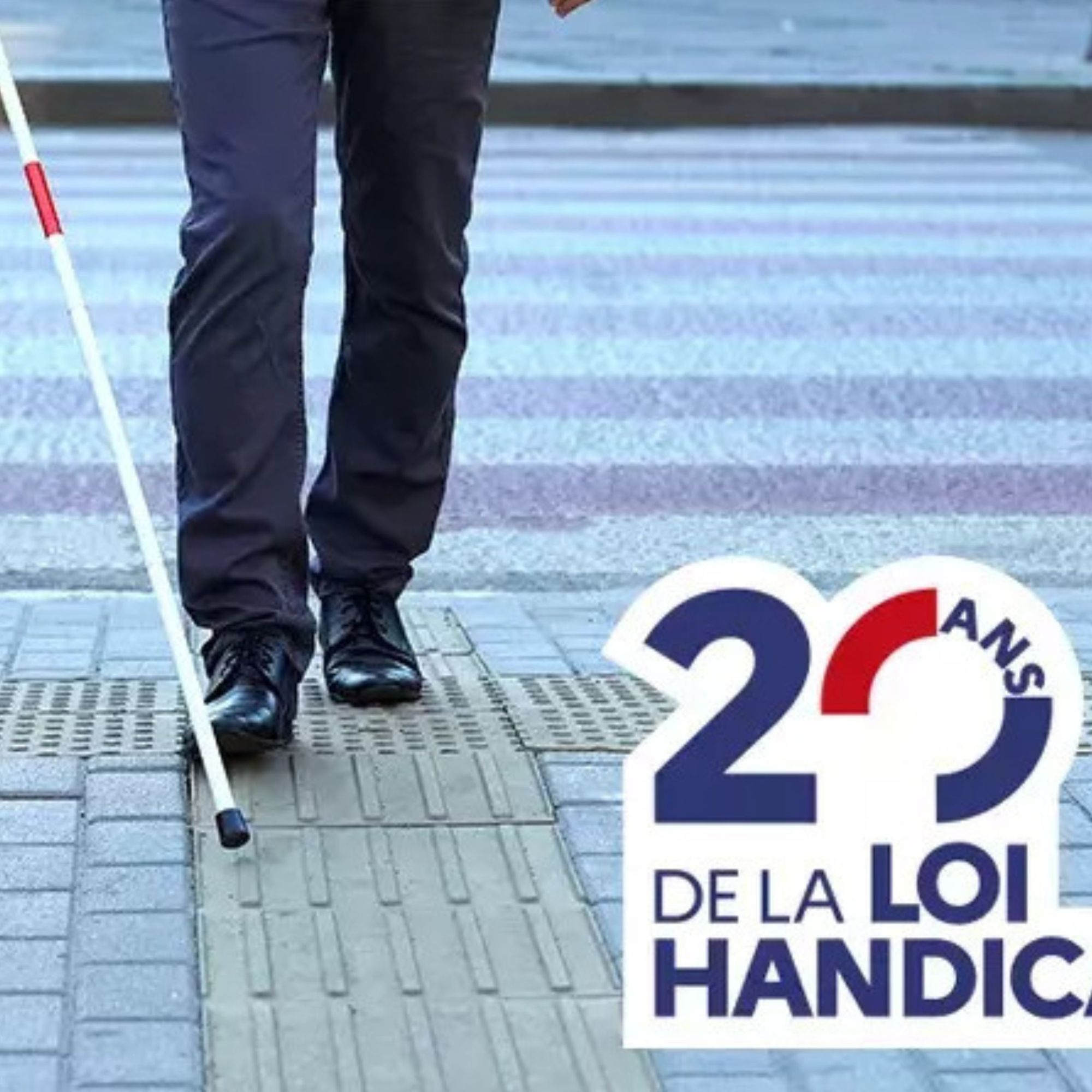 20 ans de la loi handicap 