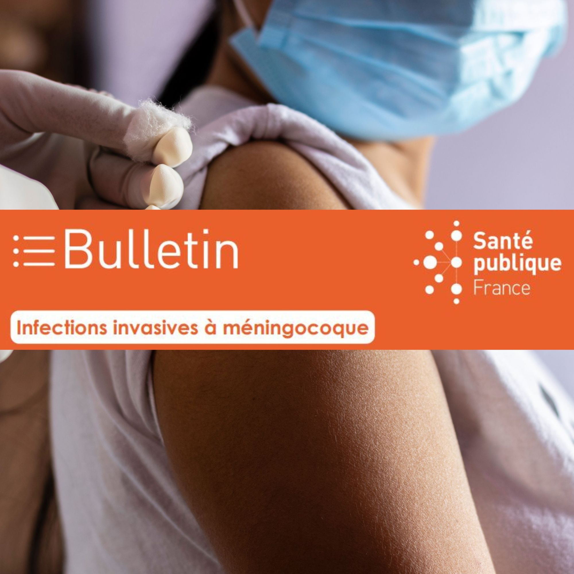 Infections invasives à méningocoque en France en 2024