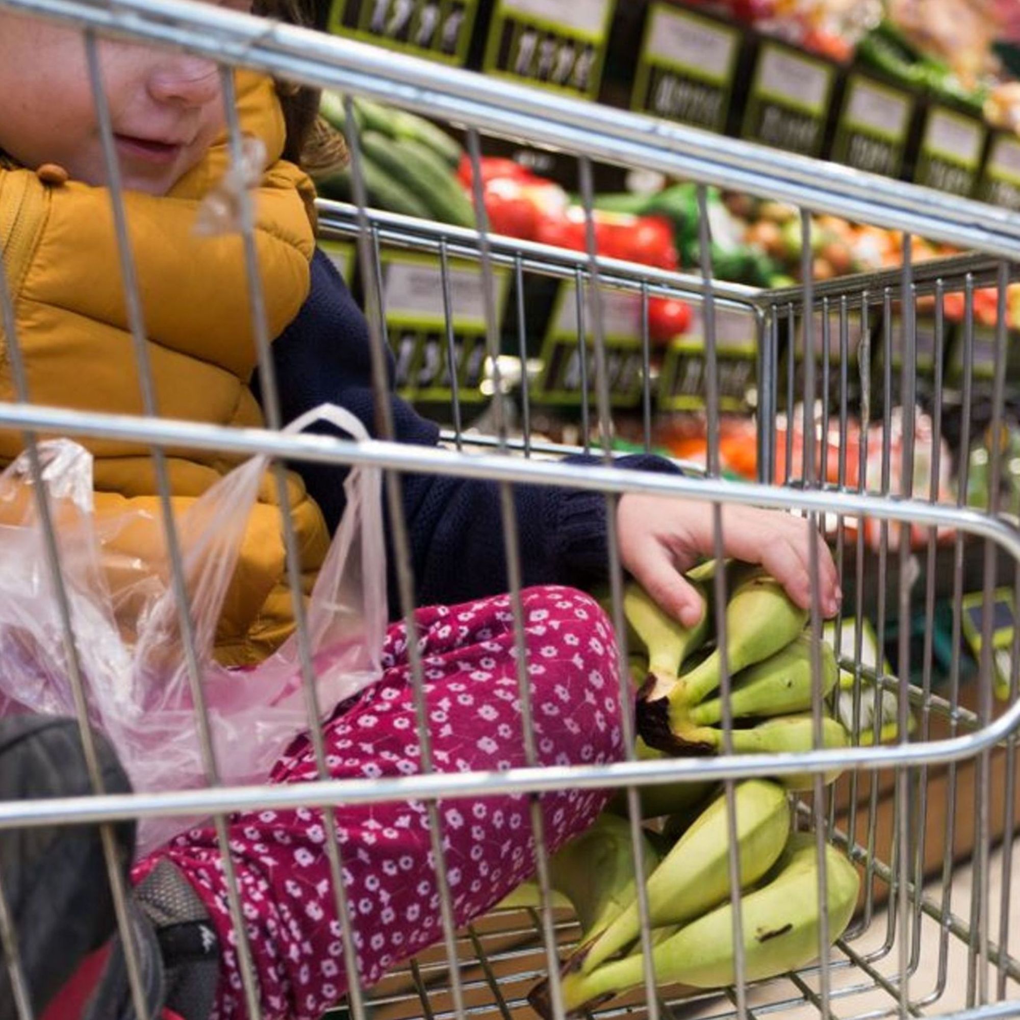 Webinaire : "Alimentation durable et personnes en situation de précarité" 