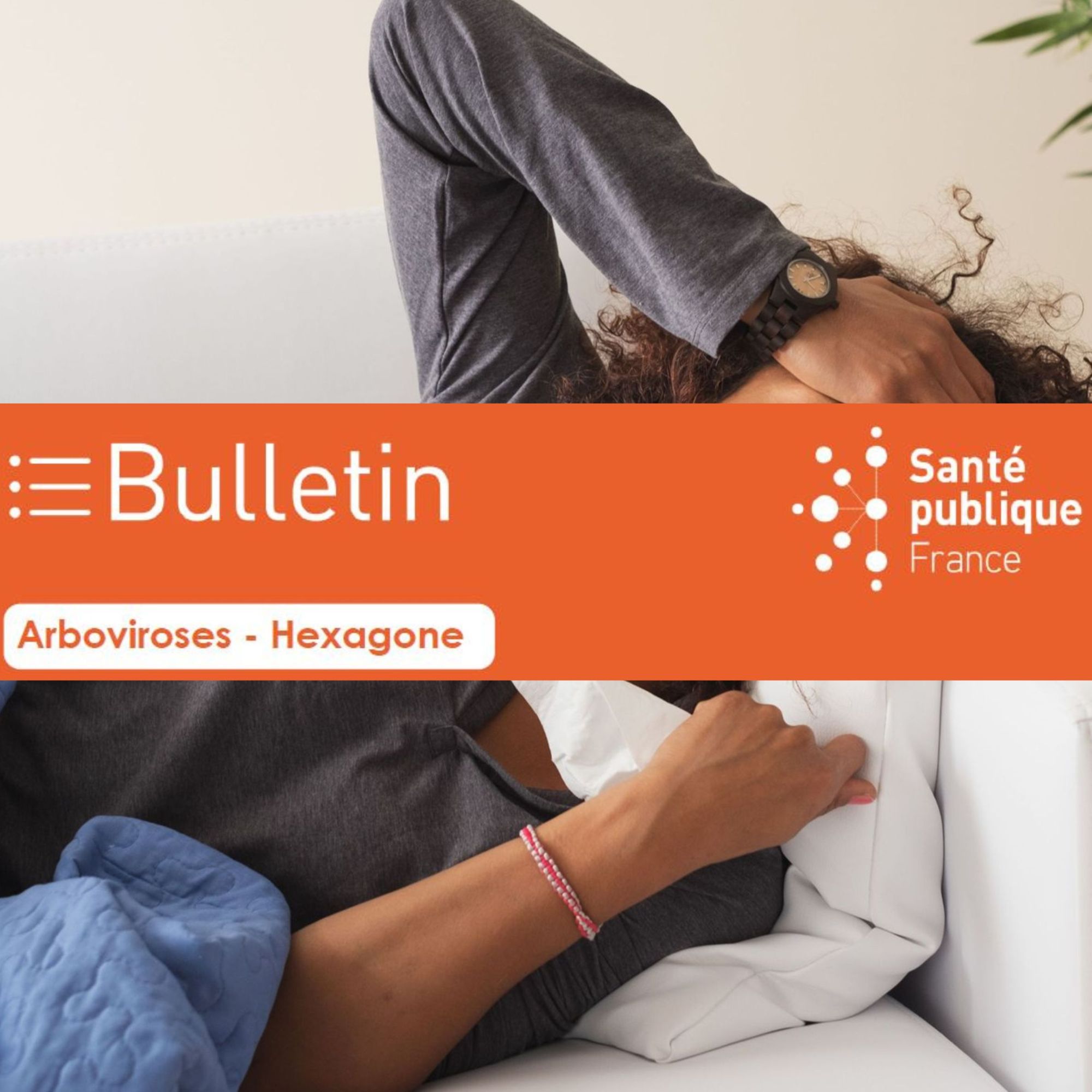 Chikungunya, dengue et zika en France hexagonale