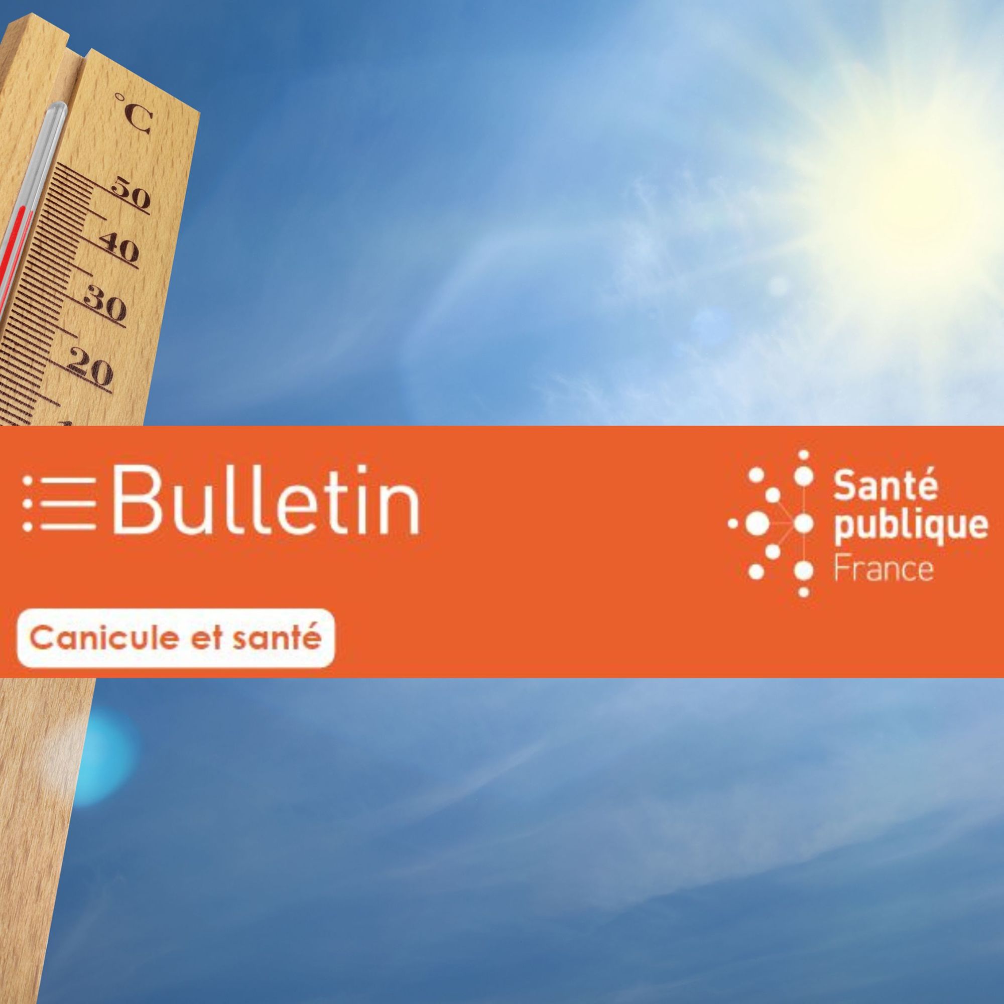 Canicule et santé en France