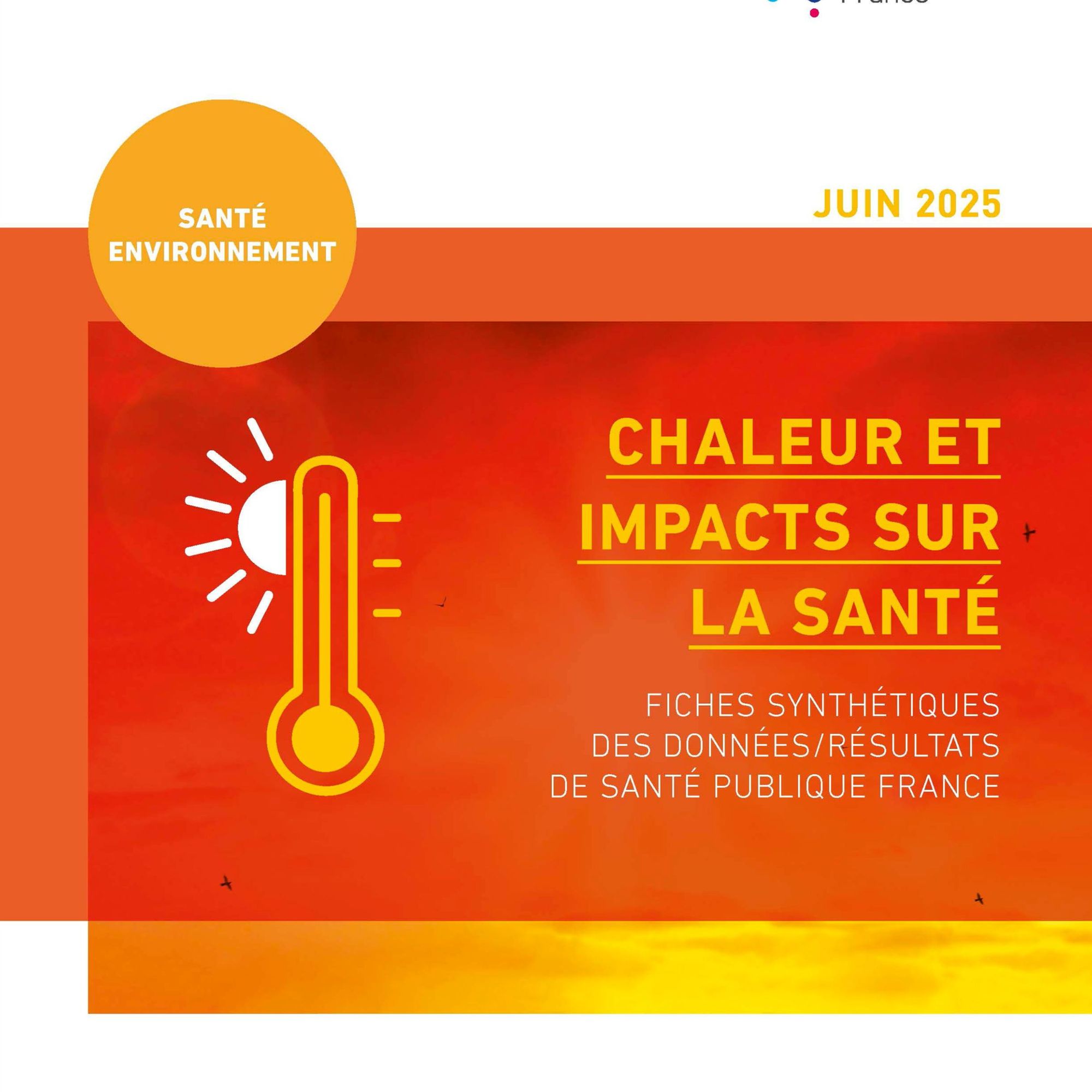 Chaleur et impacts sur la santé