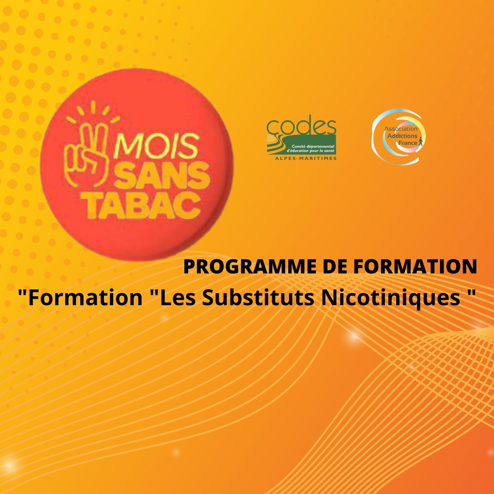 Les Substituts Nicotiniques