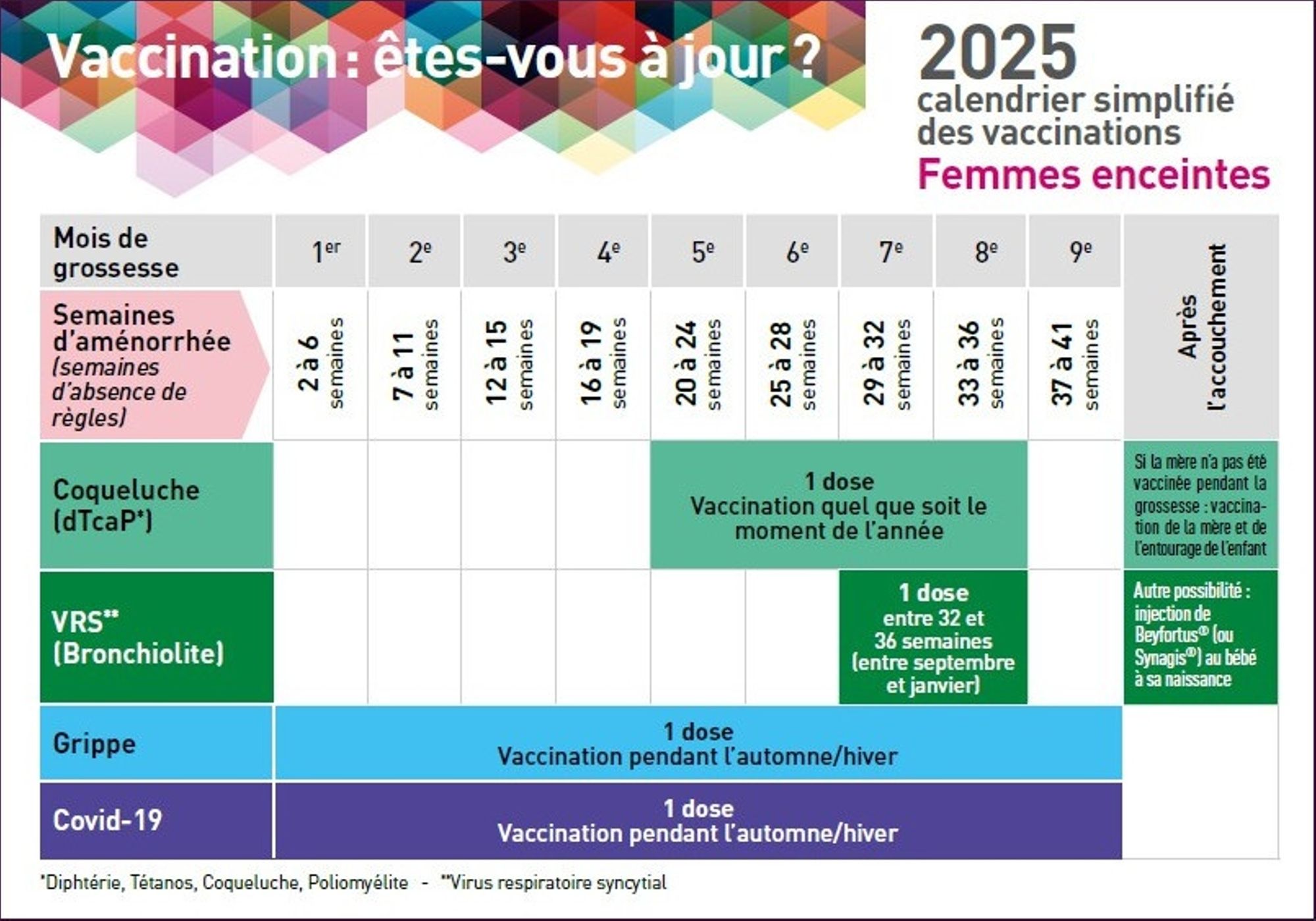 Calendrier simplifié 2025 des vaccinations, femmes enceintes