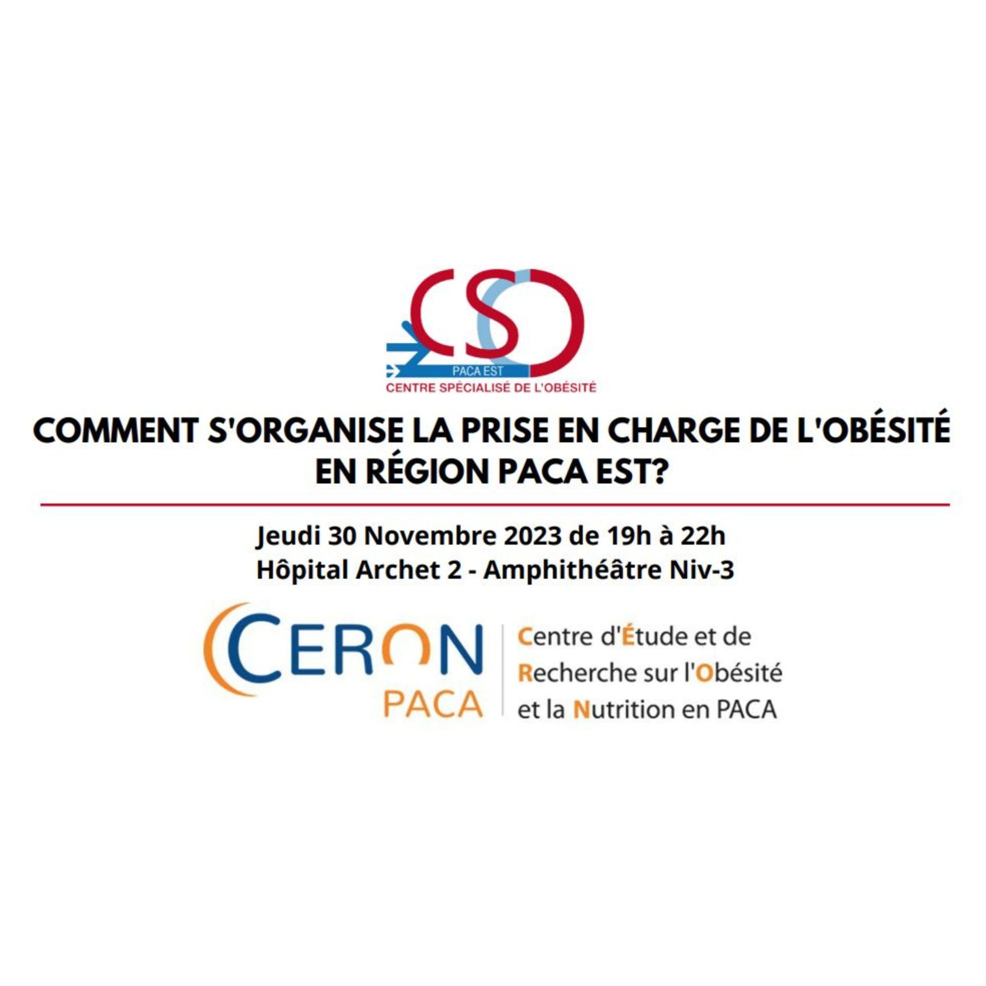 Comment s'organise la prise en charge de l'obésité en région PACA Est ?