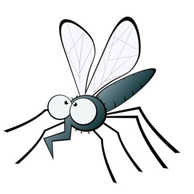L’épidémie de dengue déclarée en Martinique et en Guadeloupe : protégez-vous !