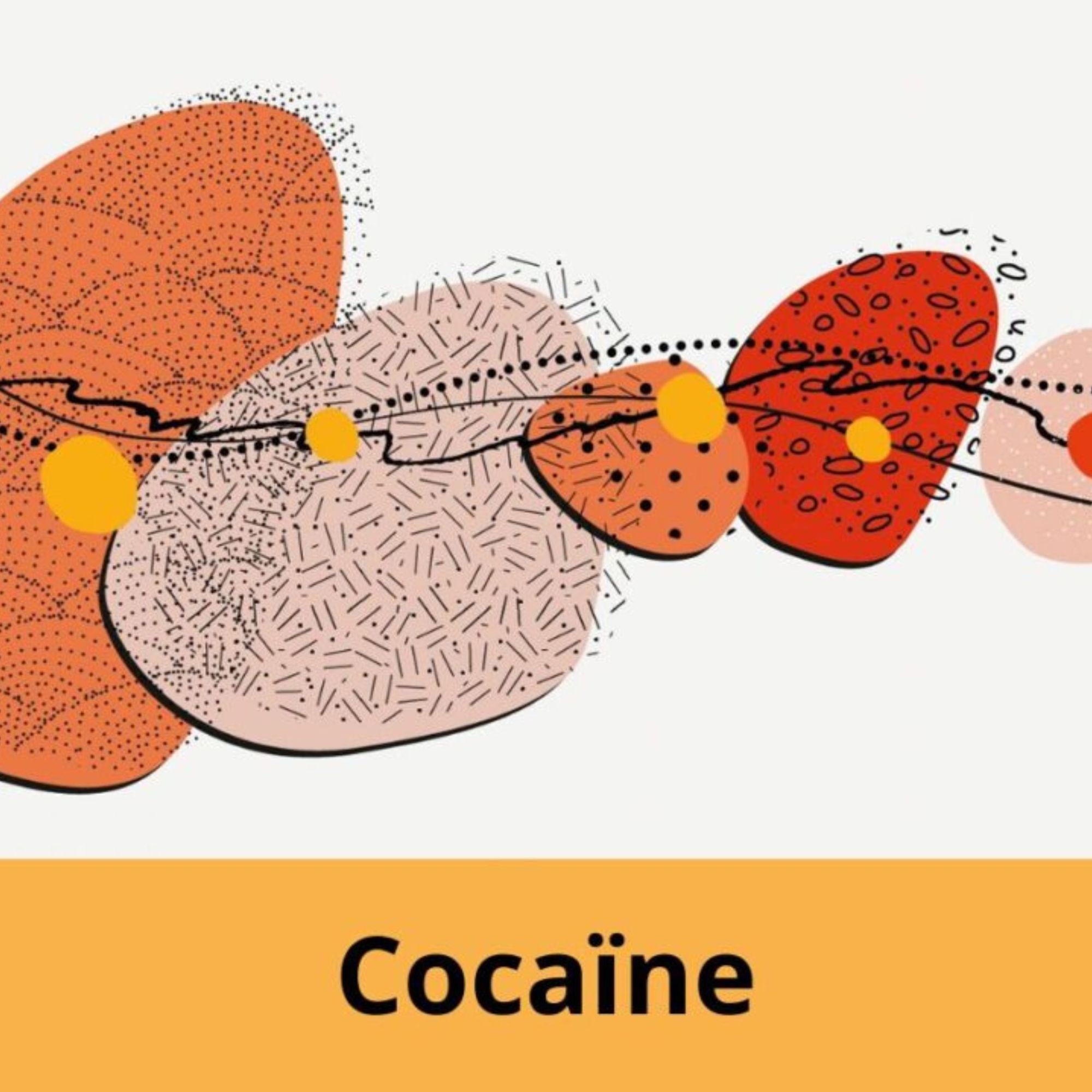 Cocaïne. Expertise collective ciblée
