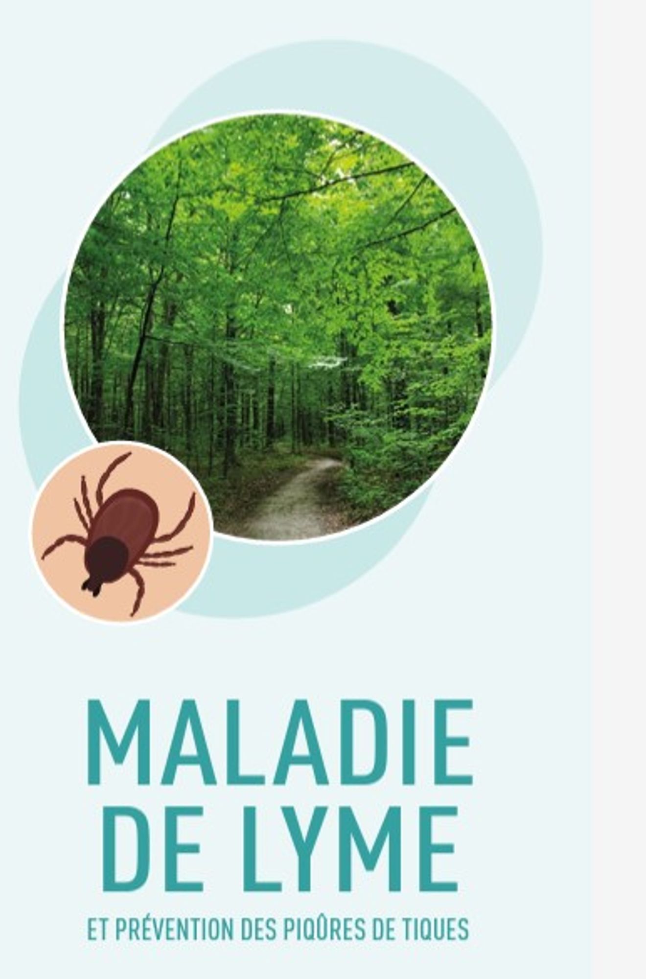 Borréliose de Lyme et prévention des piqûres de tiques : où en est-on en France ?