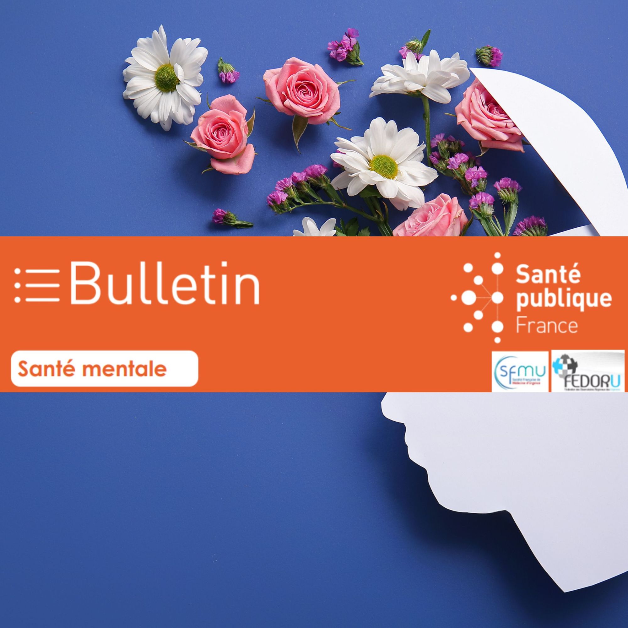 Santé mentale. Bulletin mensuel 