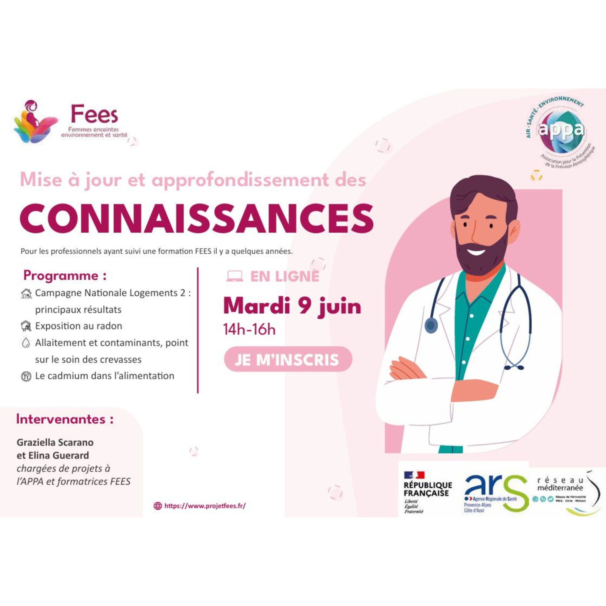 Webinaire – Mise à jour et approfondissement des connaissances FEES