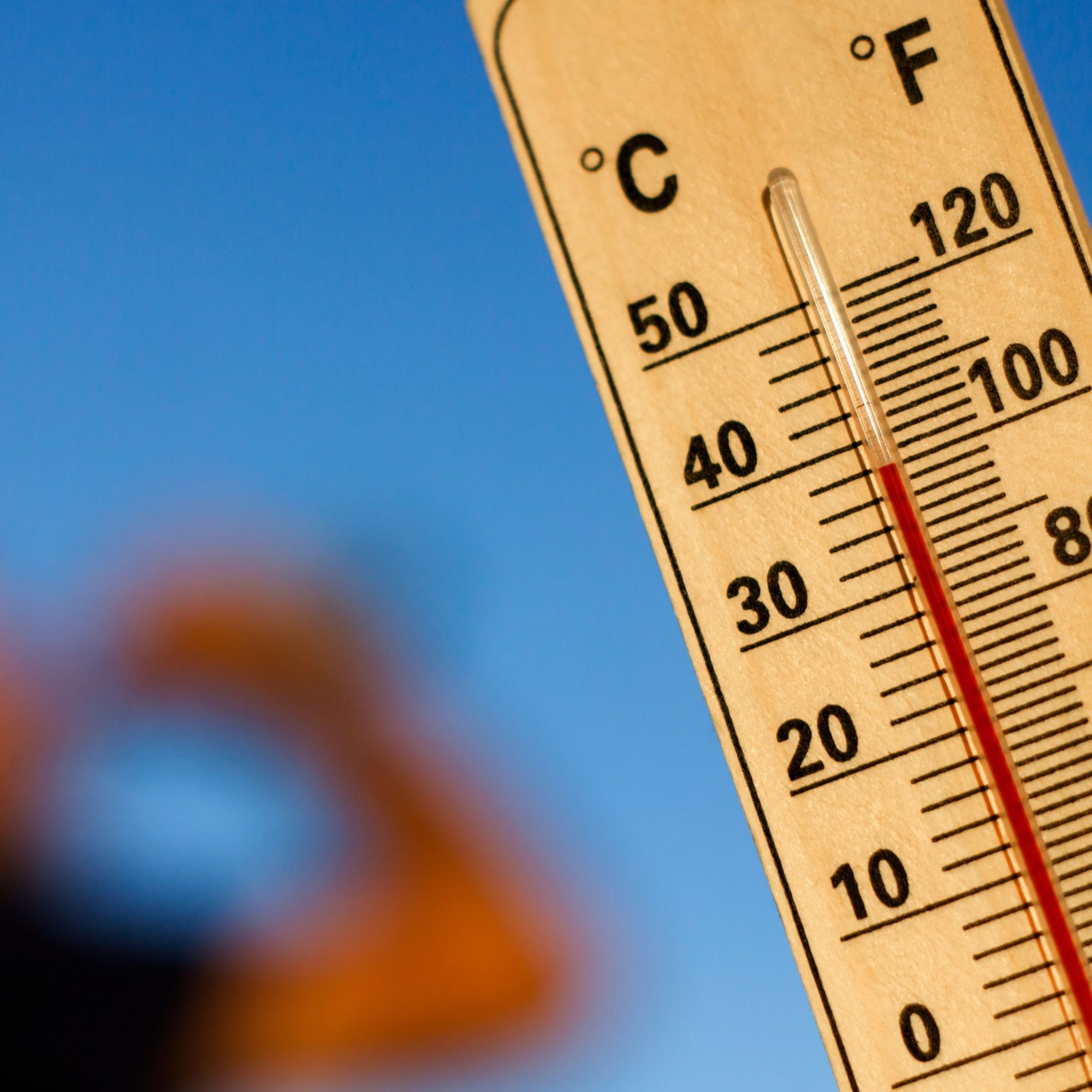 Fortes chaleurs, canicule