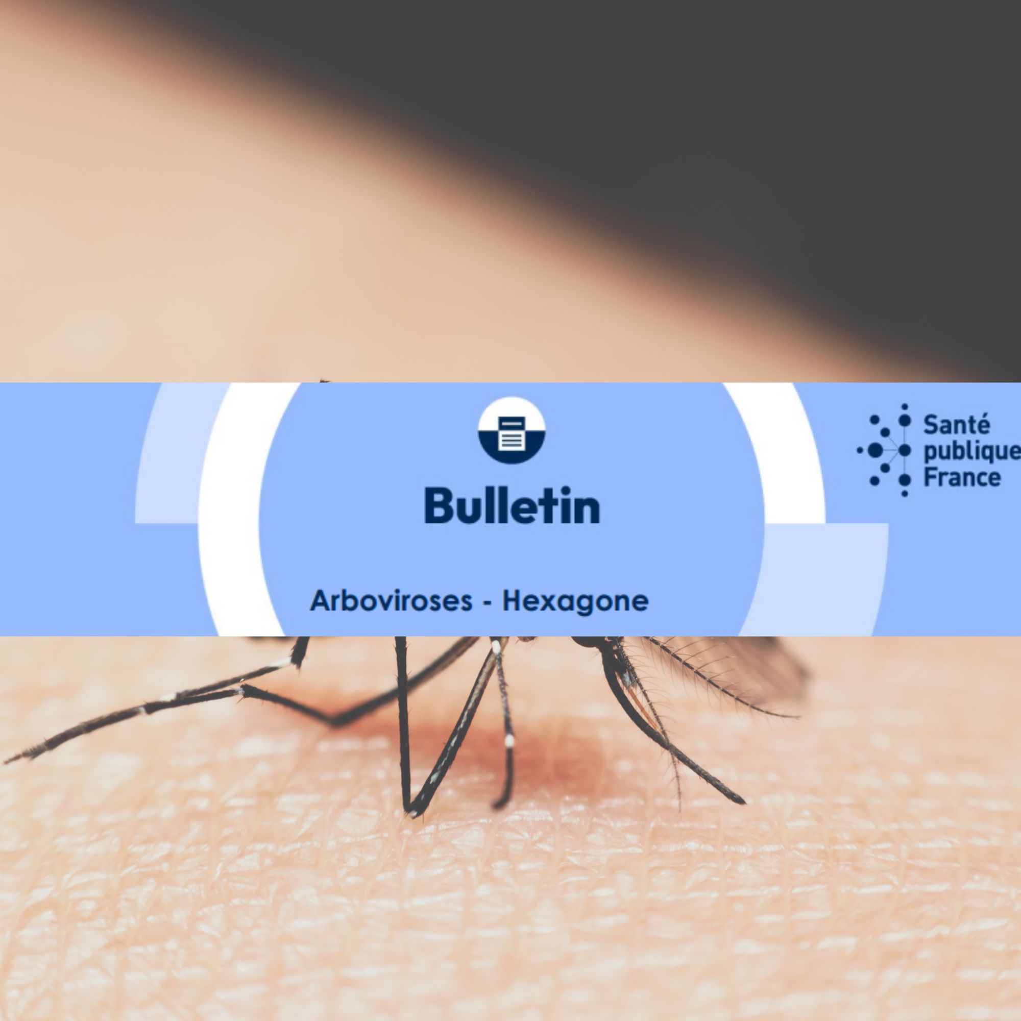 Chikungunya, dengue, Zika et West Nile en France hexagonale