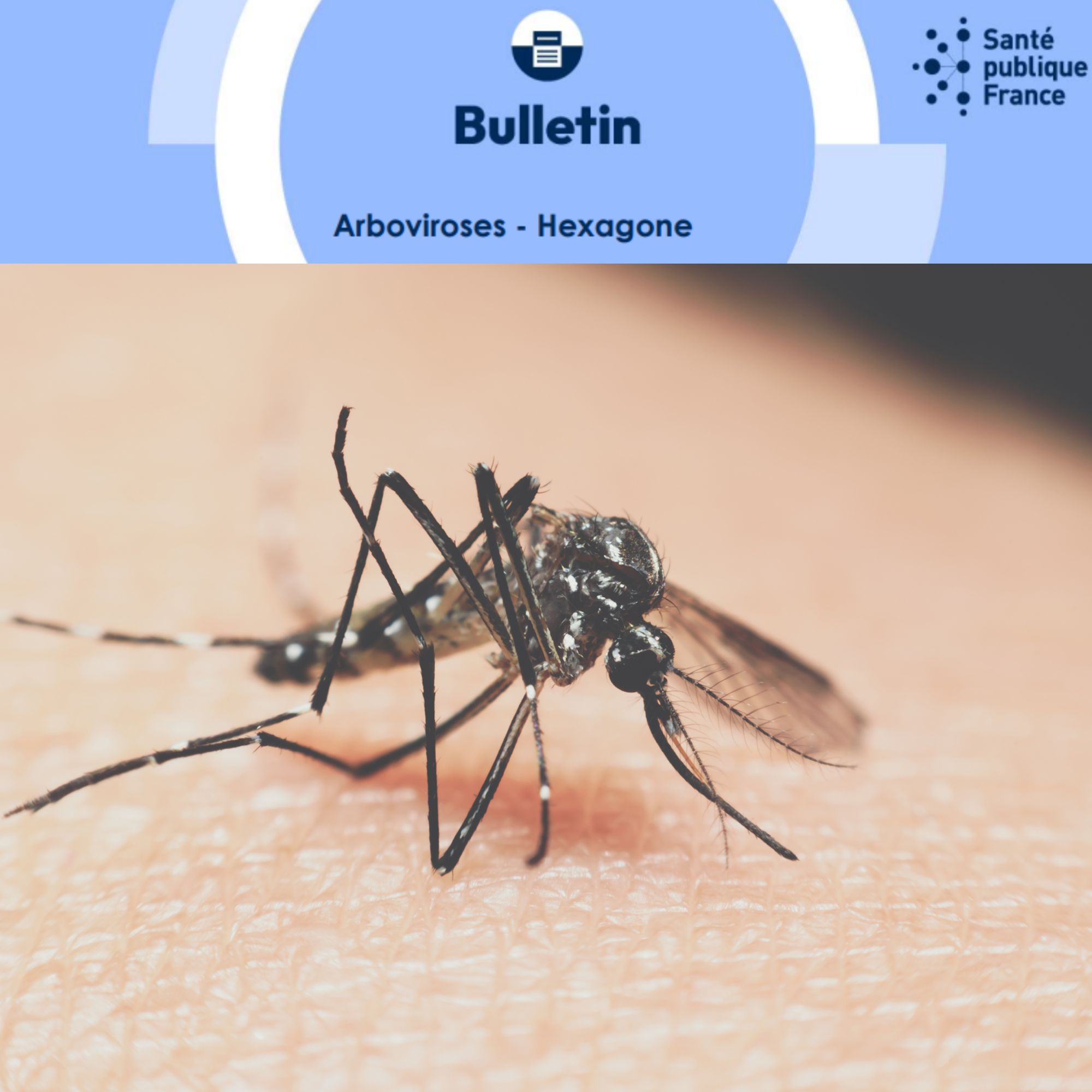 Chikungunya, dengue, Zika et West Nile en France hexagonale