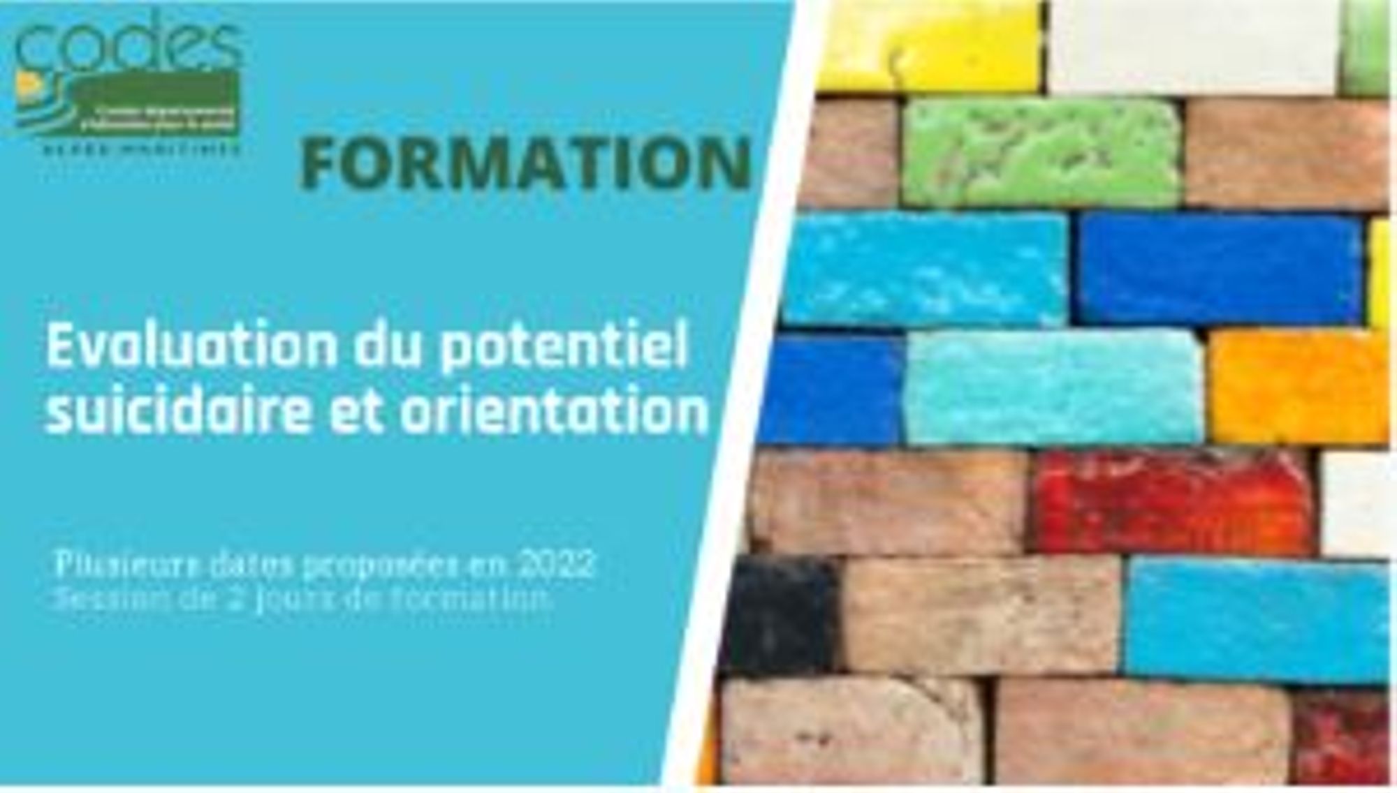 Evaluation du potentiel suicidaire et orientation