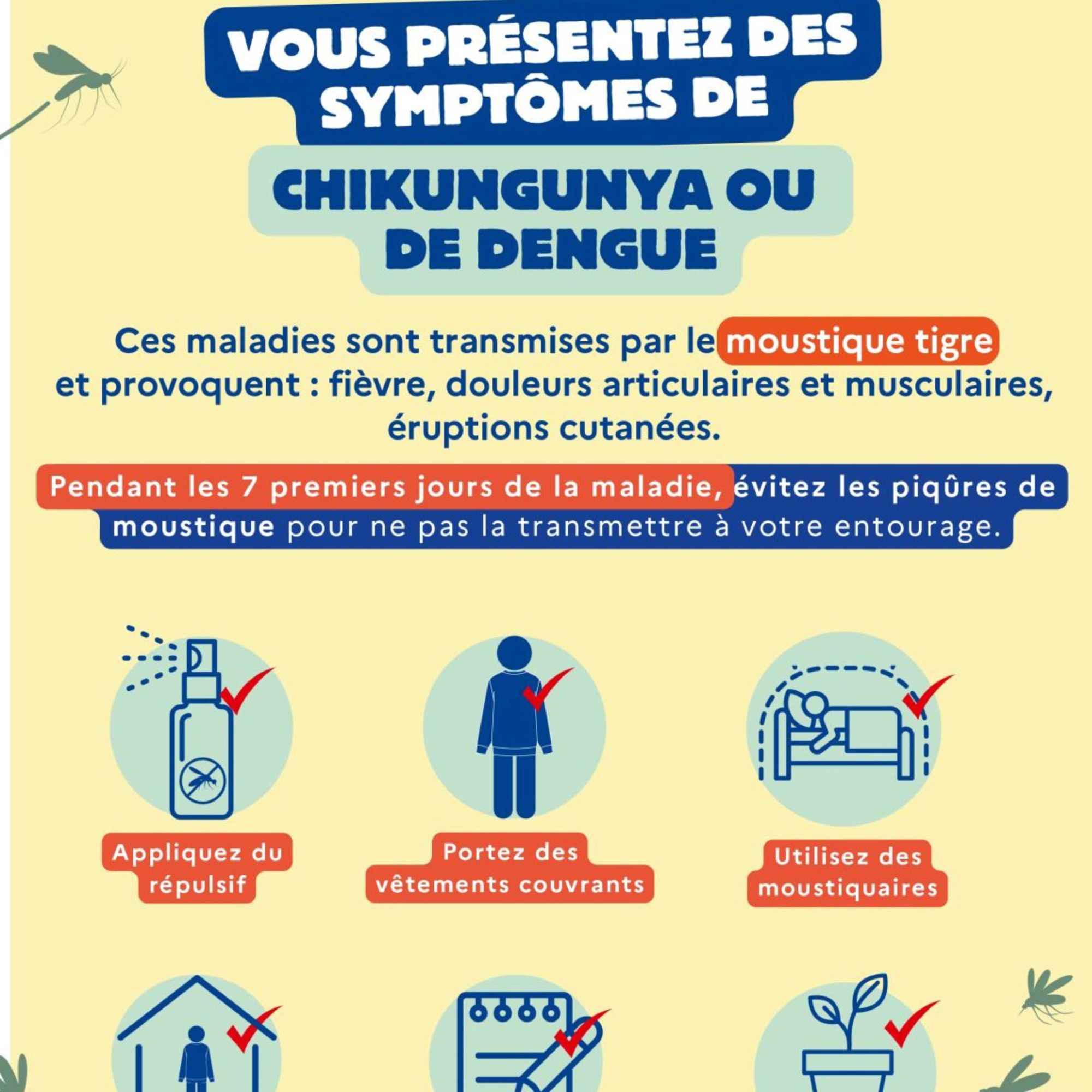 Le moustique tigre : restons vigilants au retour de voyage !