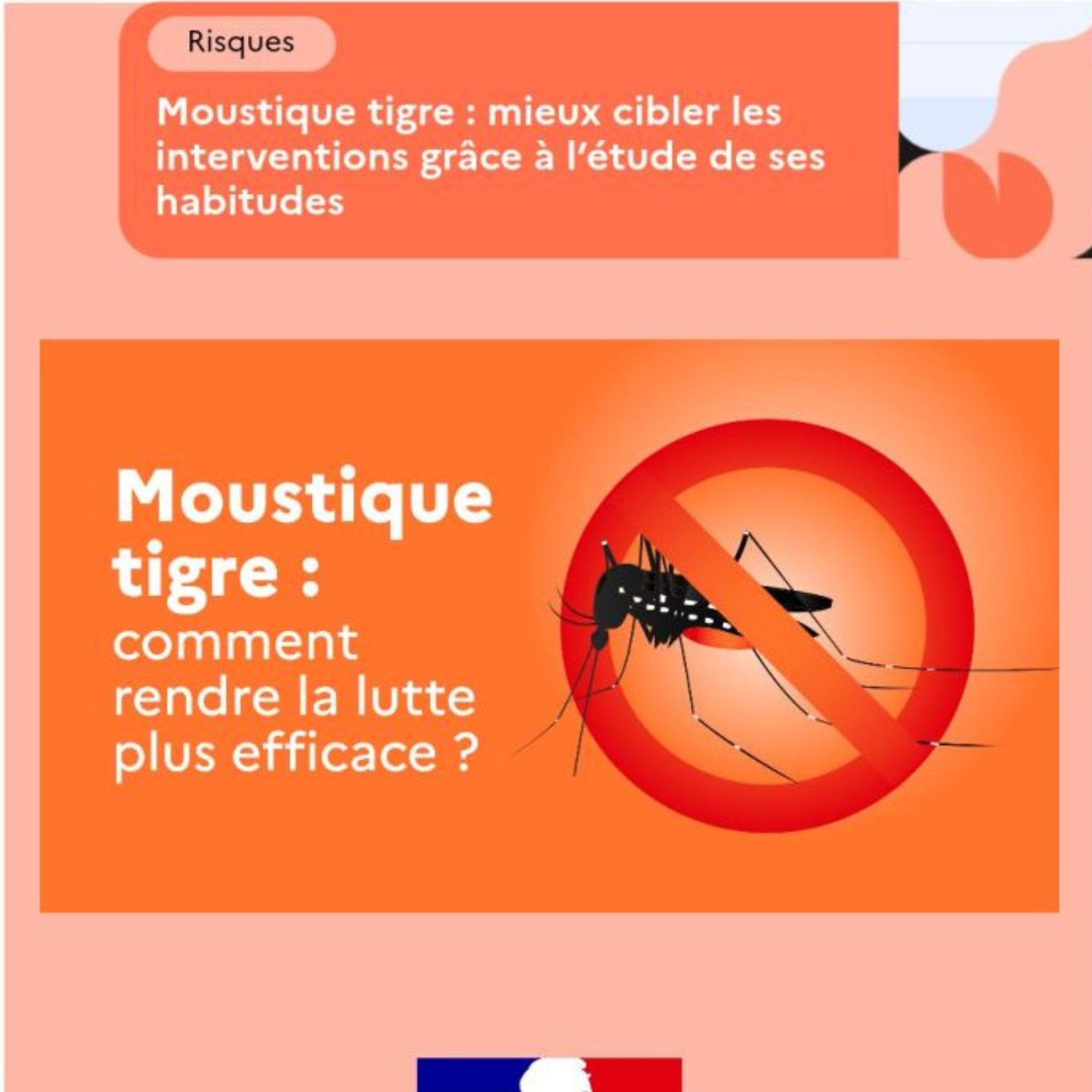 Moustique tigre : mieux cibler les interventions grâce à l’étude de ses habitudes