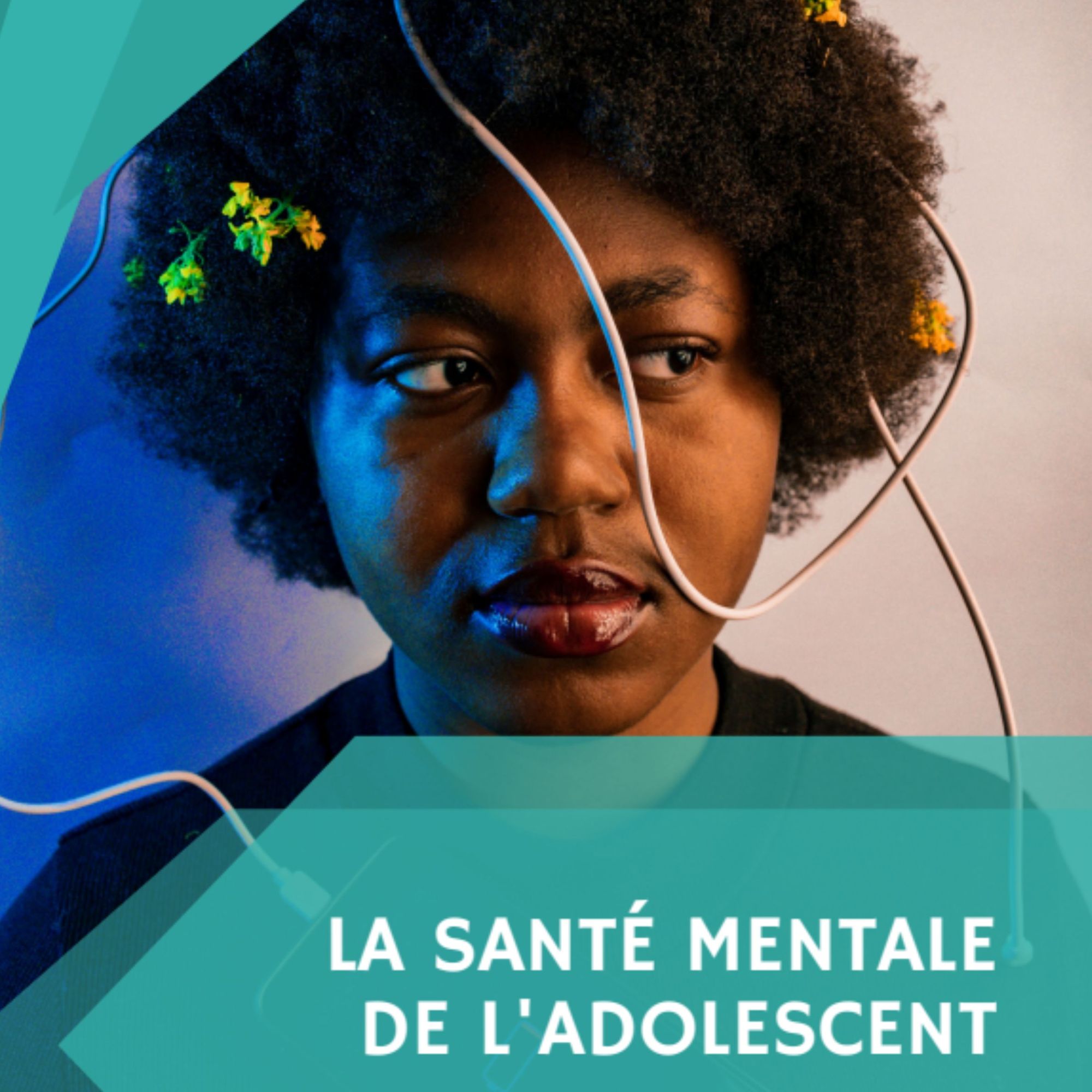 La santé mentale de l’adolescent : Synthèse et bibliographie